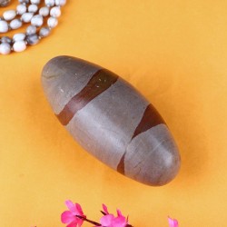 Narmadeshwar Shivling Original – Natural Narmada Stone Shiva Lingam